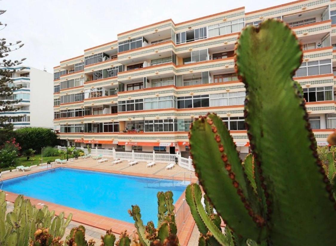 Calm, Cosy And Bright Apartment Renovated In Playa Del Ingles- Wifi Free Playa del Inglés Exterior foto